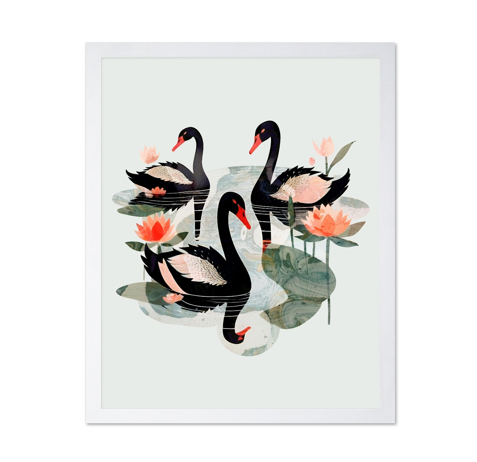 Black Swans Lotus
