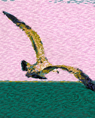 Seagull Over Ocean
