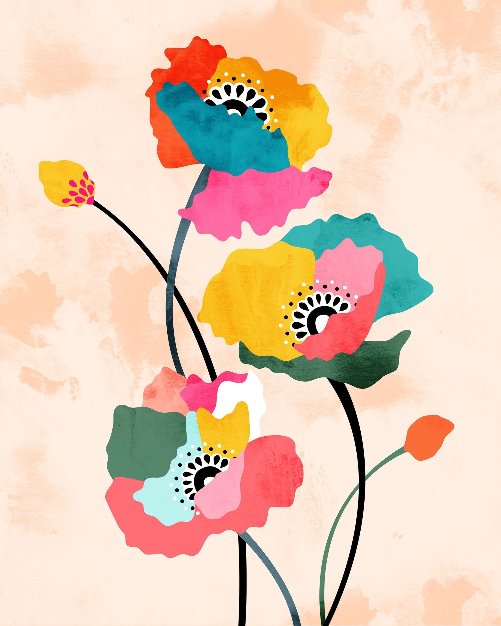 Colorful Poppy Flowers