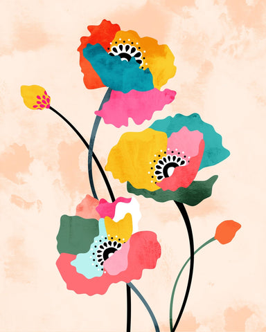 Colorful Poppy Flowers