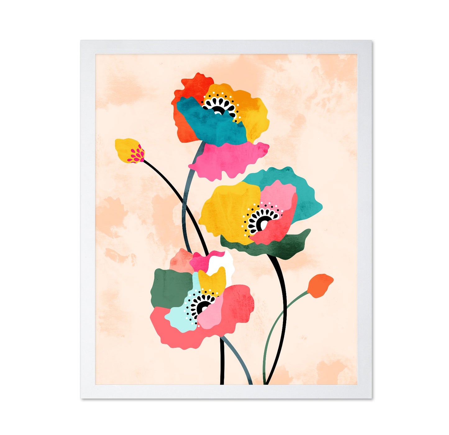 Colorful Poppy Flowers