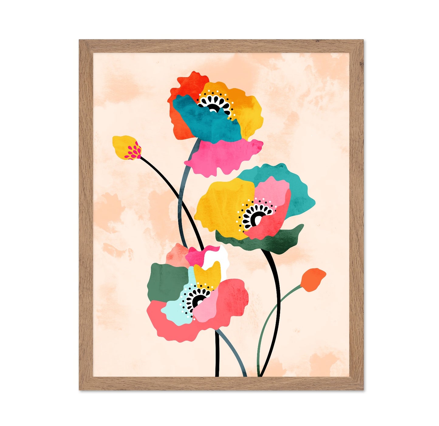 Colorful Poppy Flowers