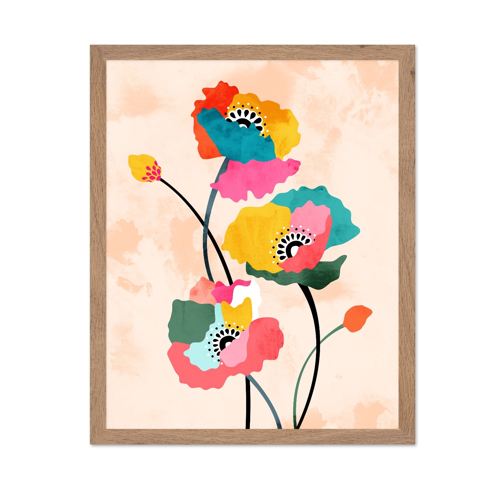 Colorful Poppy Flowers