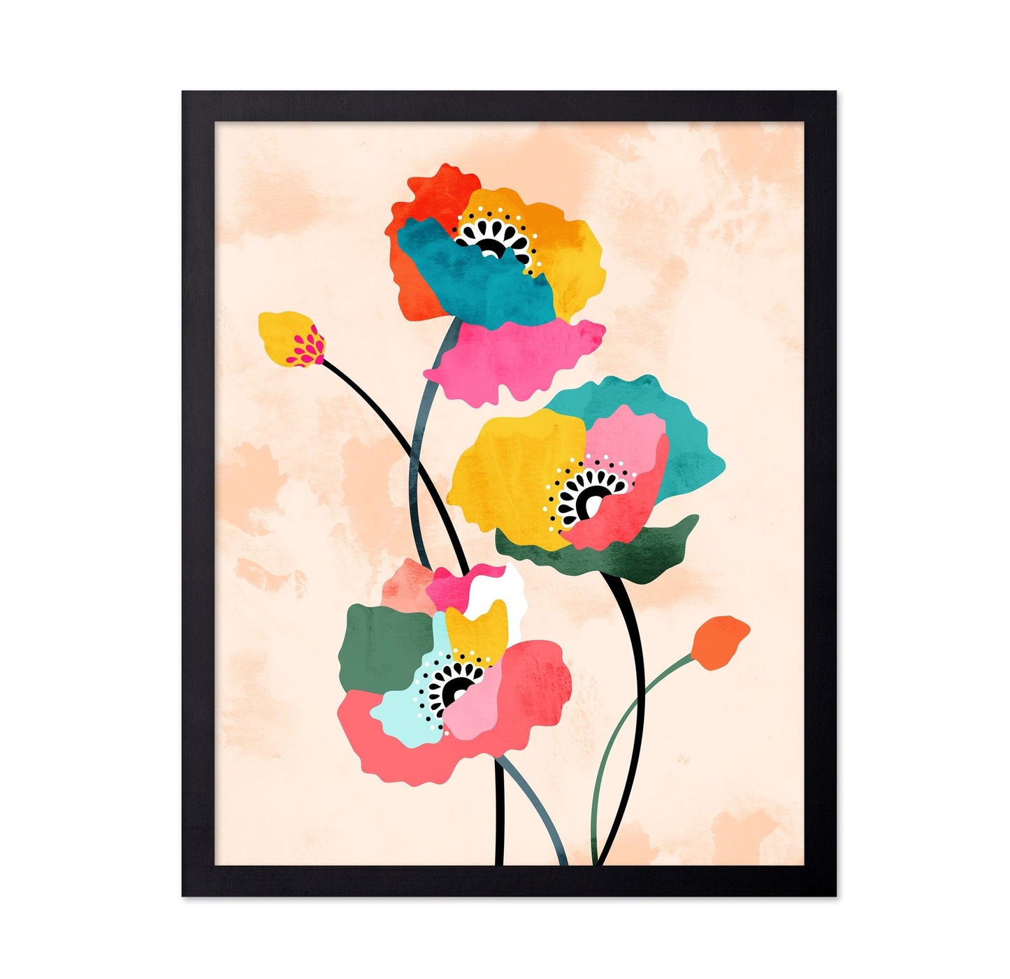 Colorful Poppy Flowers