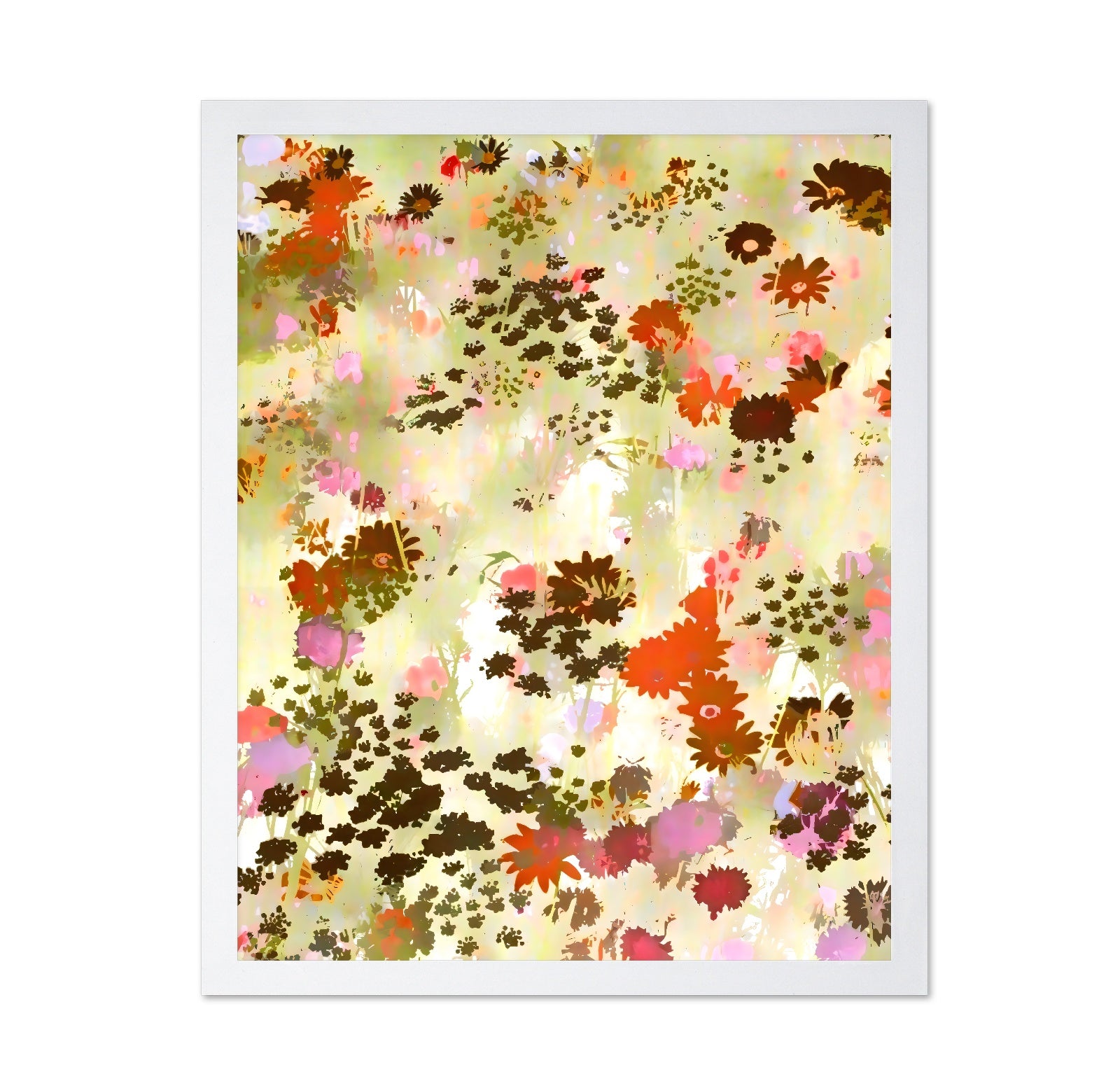 Wildflower Color Burst