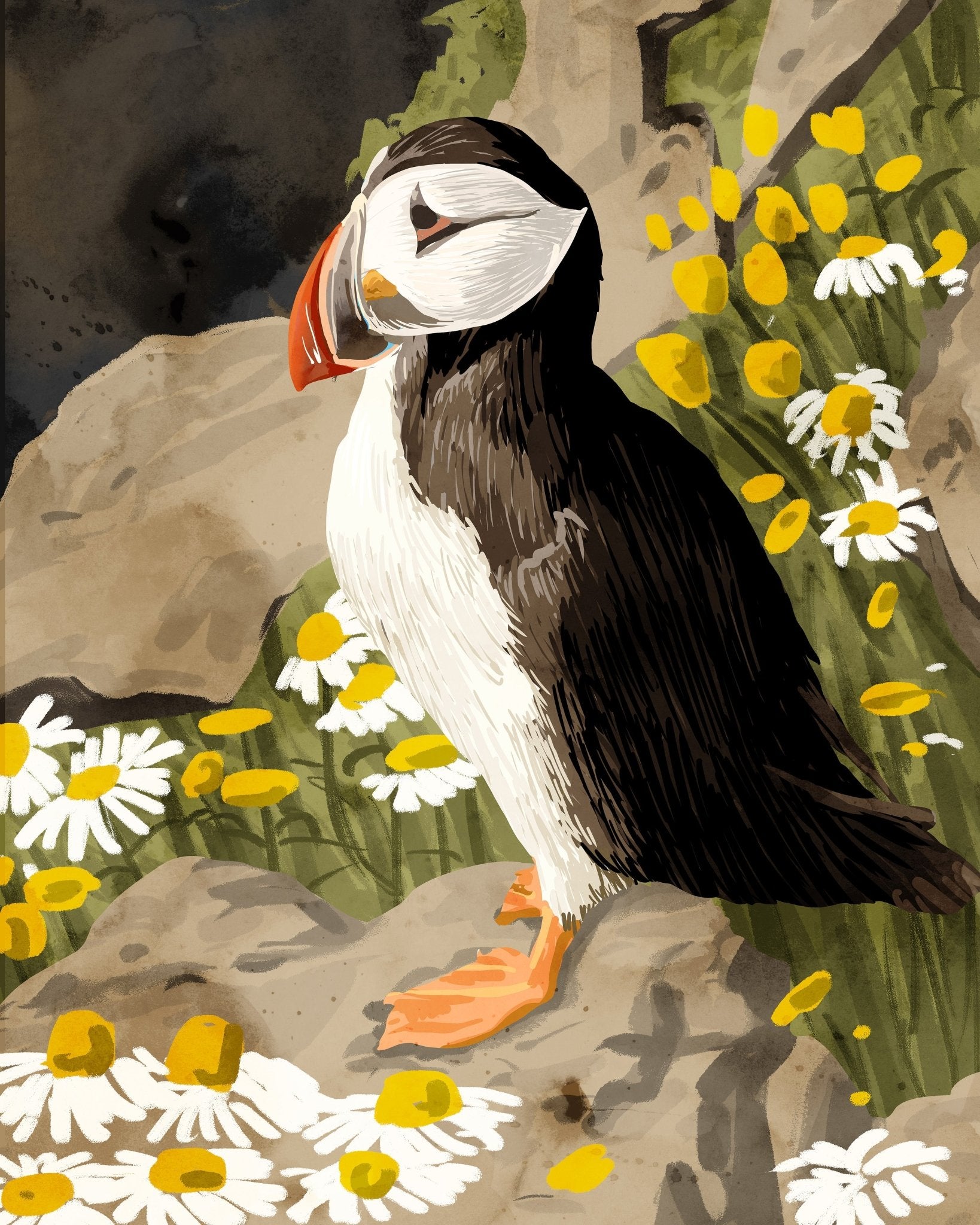 Puffin Among Daisies