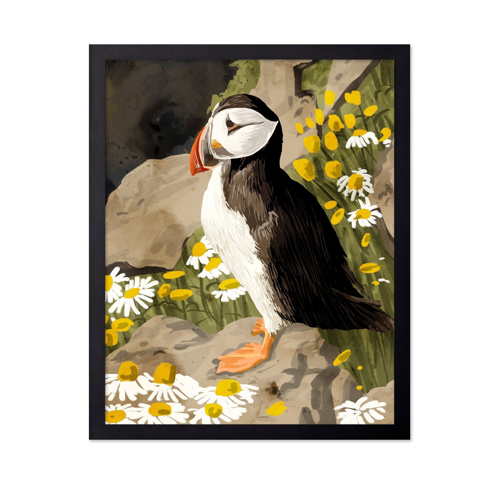 Puffin Among Daisies