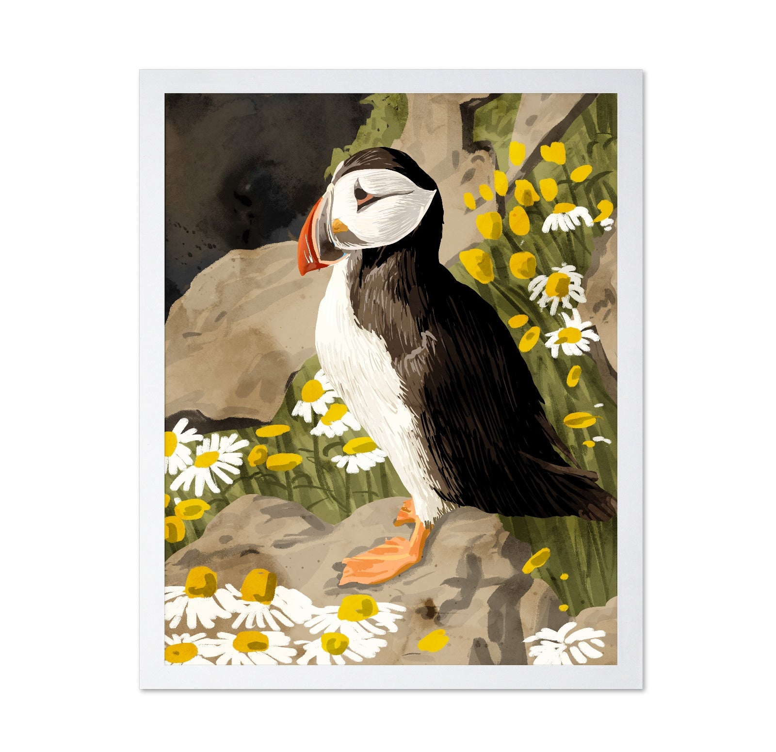 Puffin Among Daisies