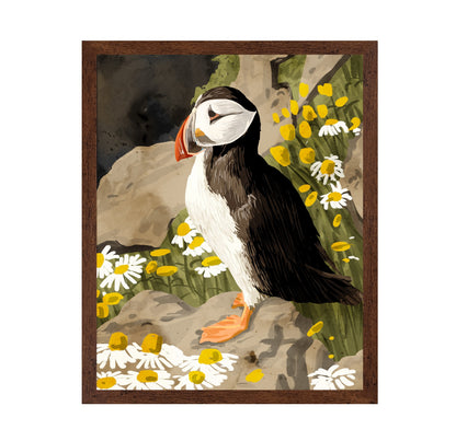 Puffin Among Daisies