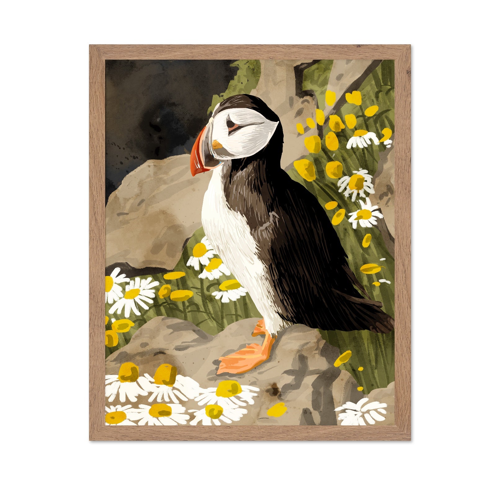 Puffin Among Daisies