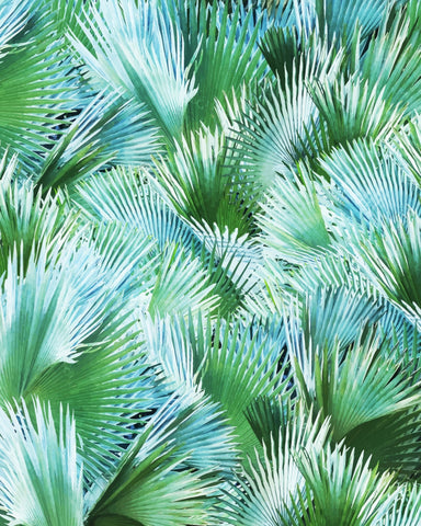 Tropical Palm Fan Pattern