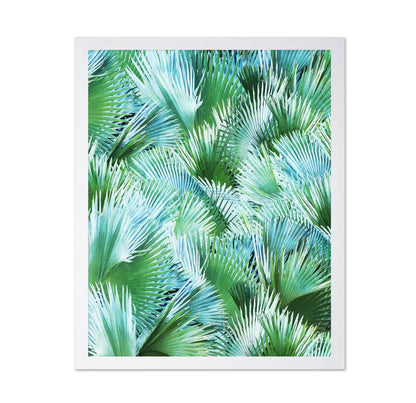 Tropical Palm Fan Pattern