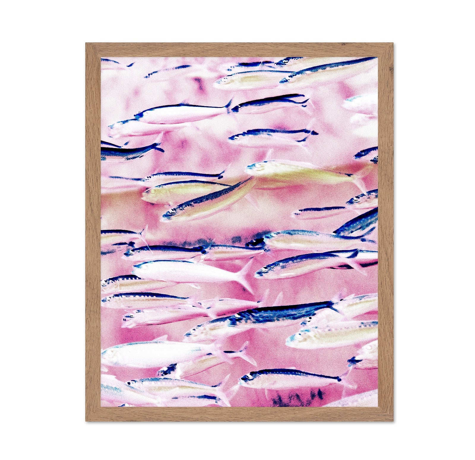Pink Ocean Fish School