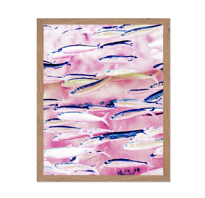 Pink Ocean Fish School