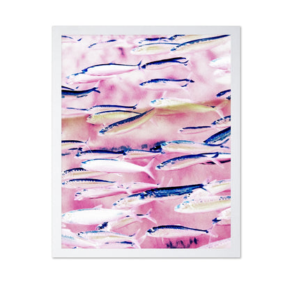 Pink Ocean Fish School