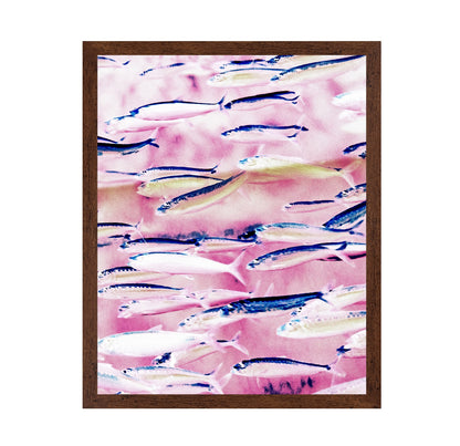 Pink Ocean Fish School