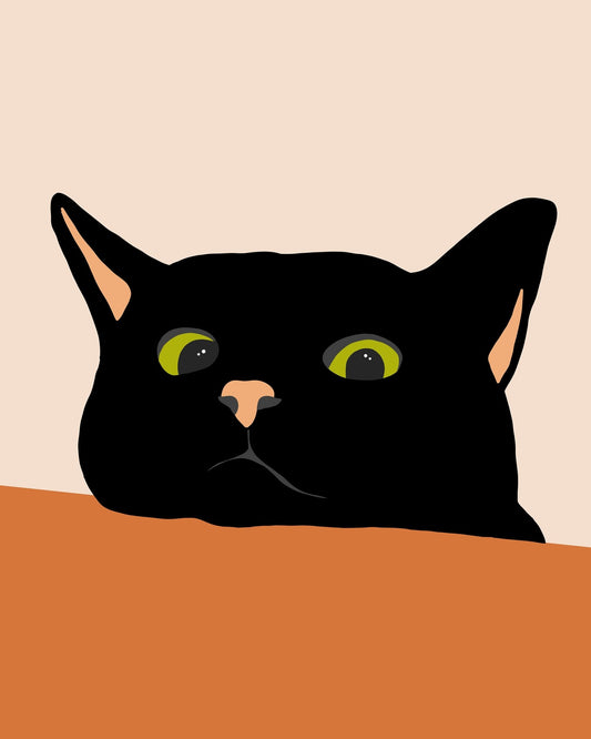 Black Cat Close Up