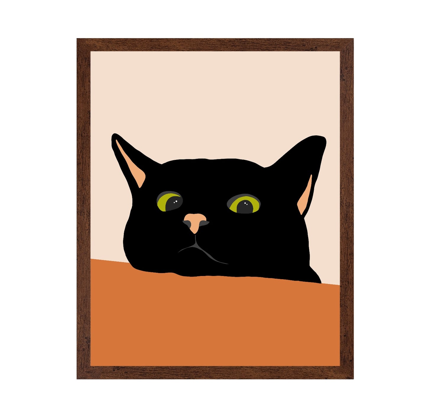 Black Cat Close Up