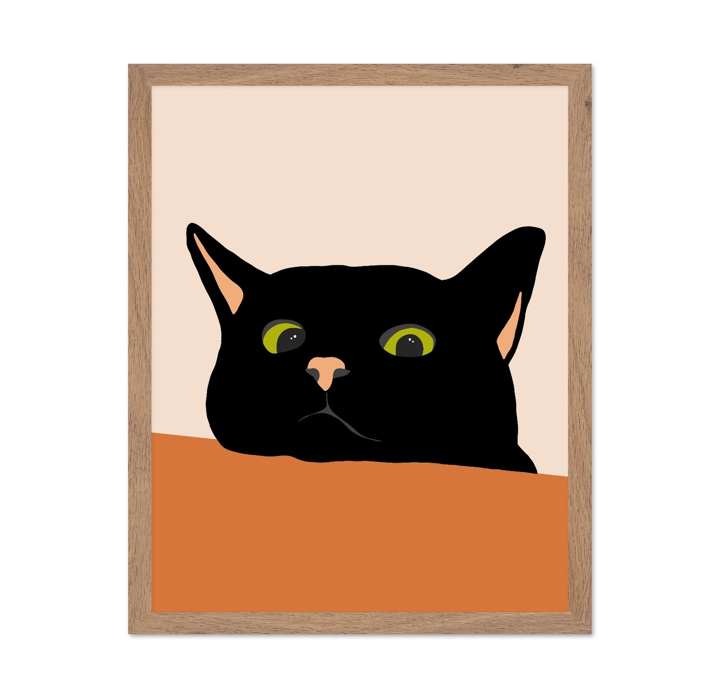 Black Cat Close Up