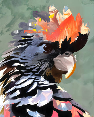 Colorful Cockatoo Portrait