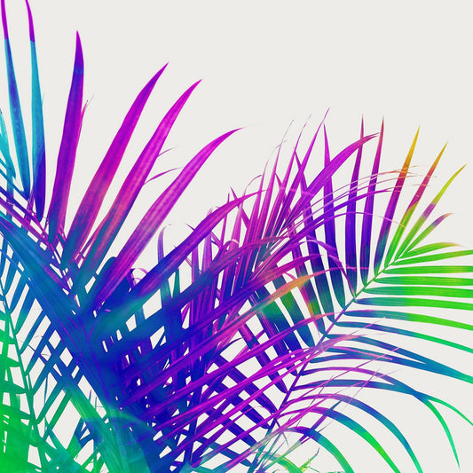 Neon Palm Leaves