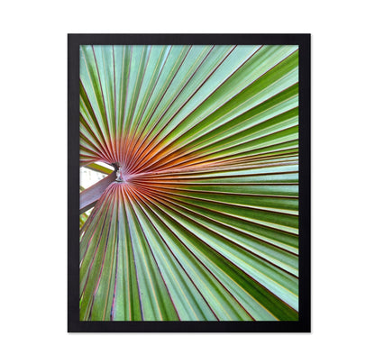 Palm Leaf Closeup