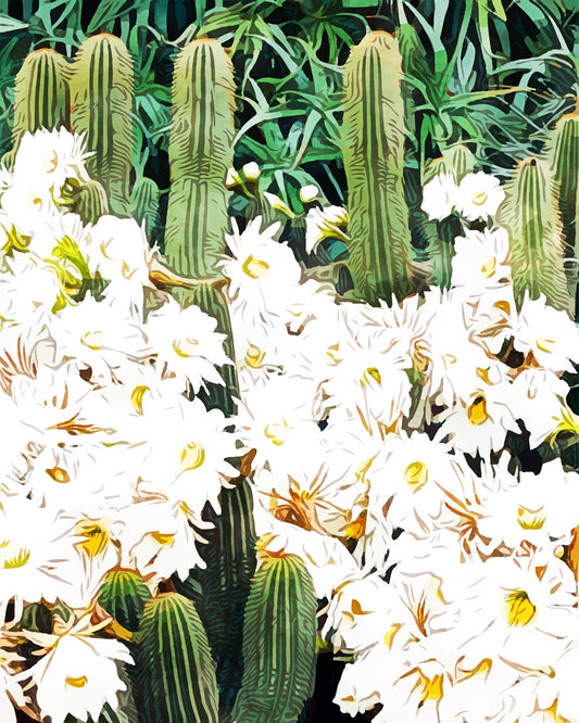 Cactus Bloom Garden