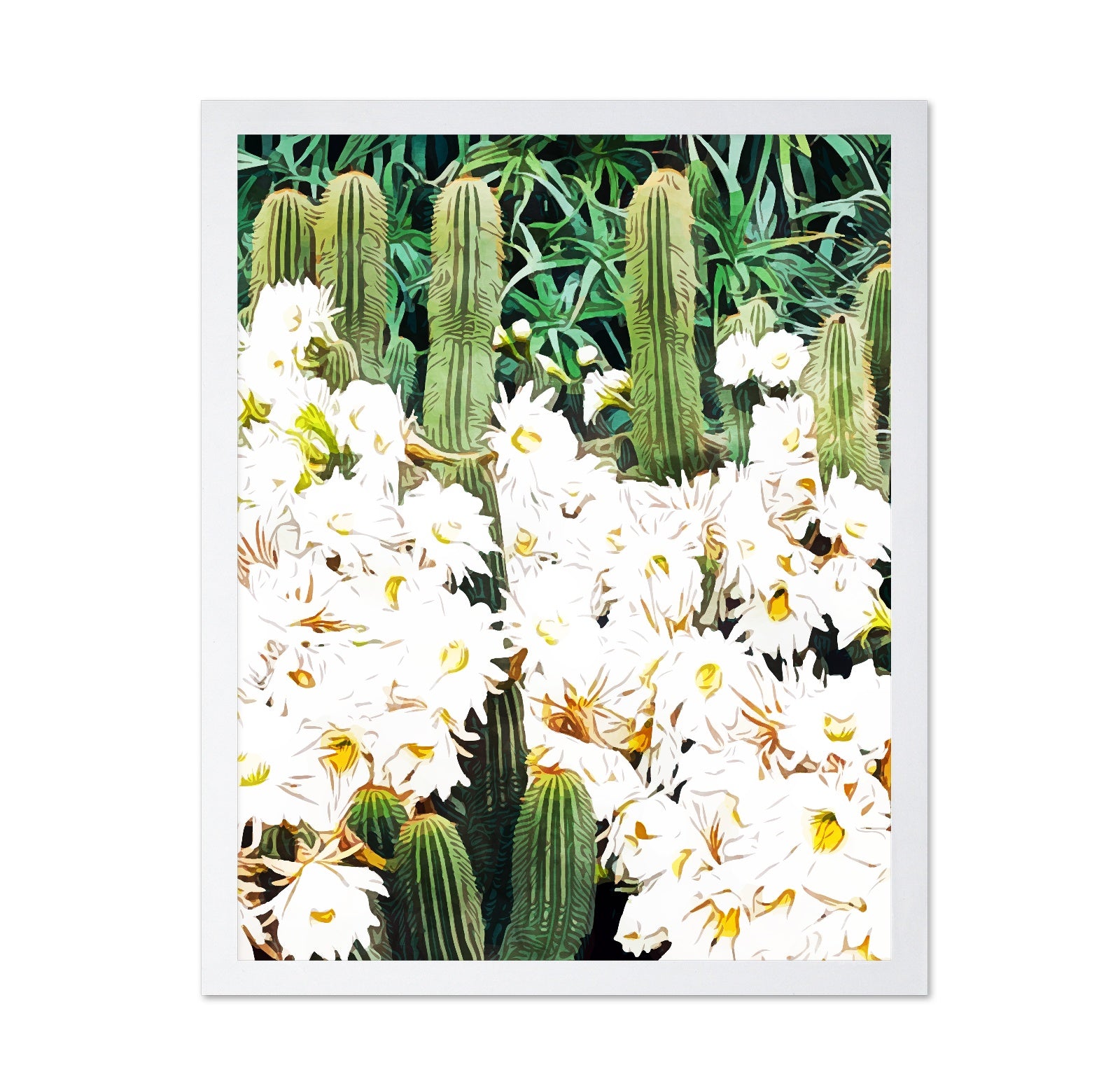 Cactus Bloom Garden