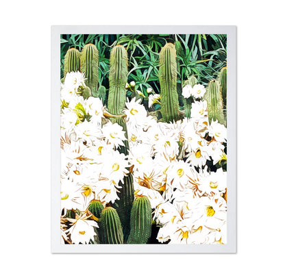 Cactus Bloom Garden