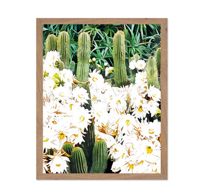 Cactus Bloom Garden