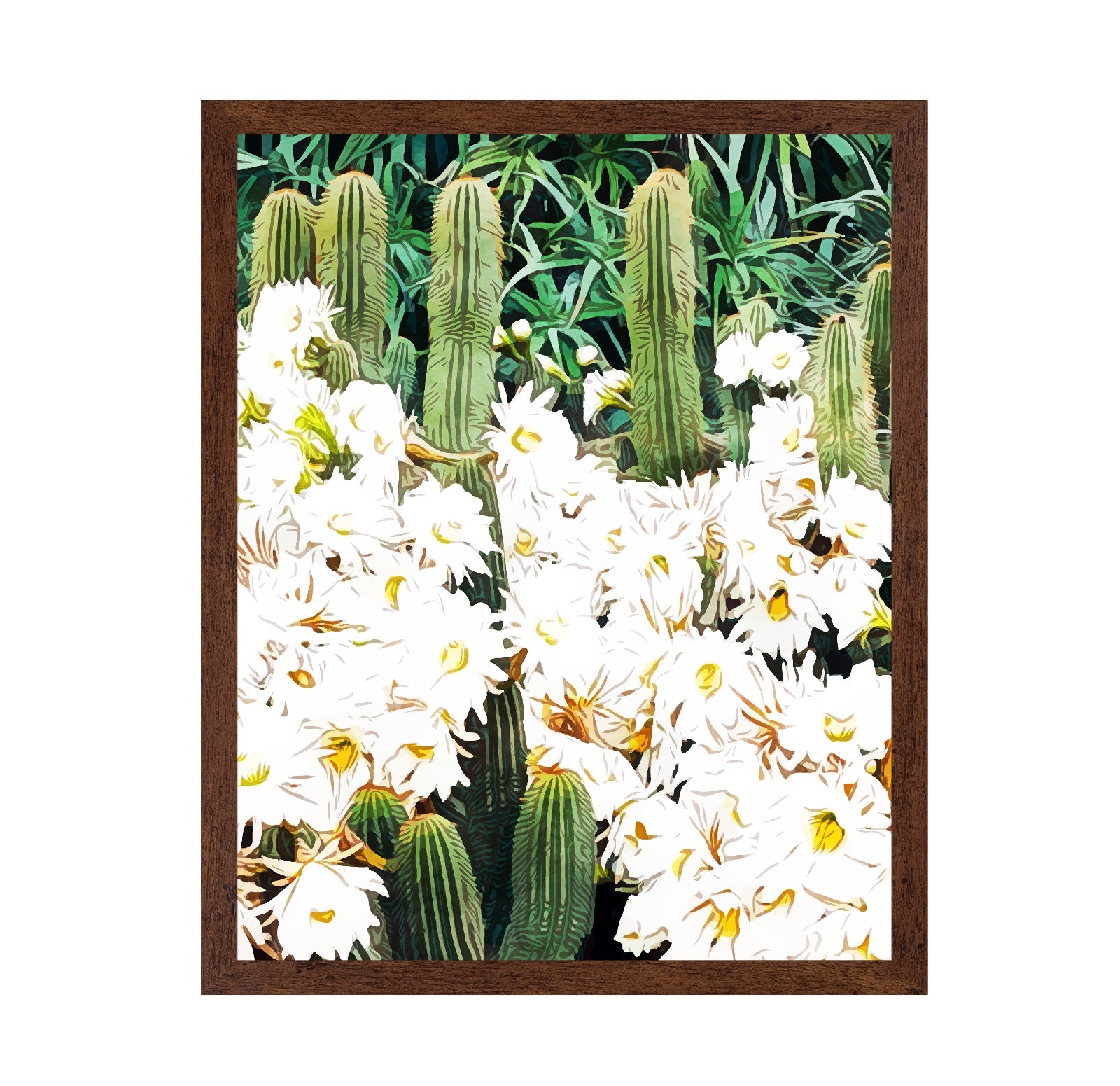 Cactus Bloom Garden