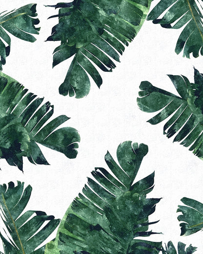 Tropical Palm Leaves No5