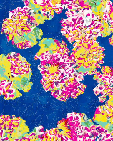 Vibrant Floral Splash