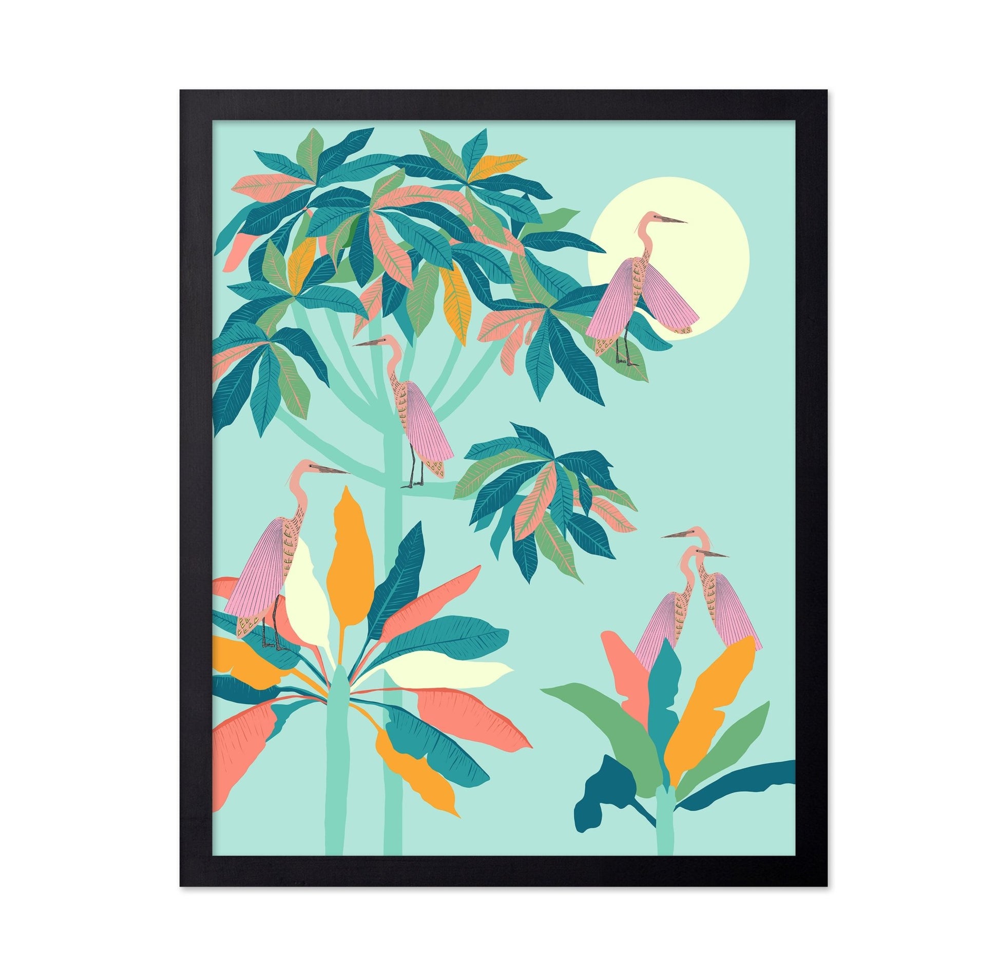 Tropical Birds Garden