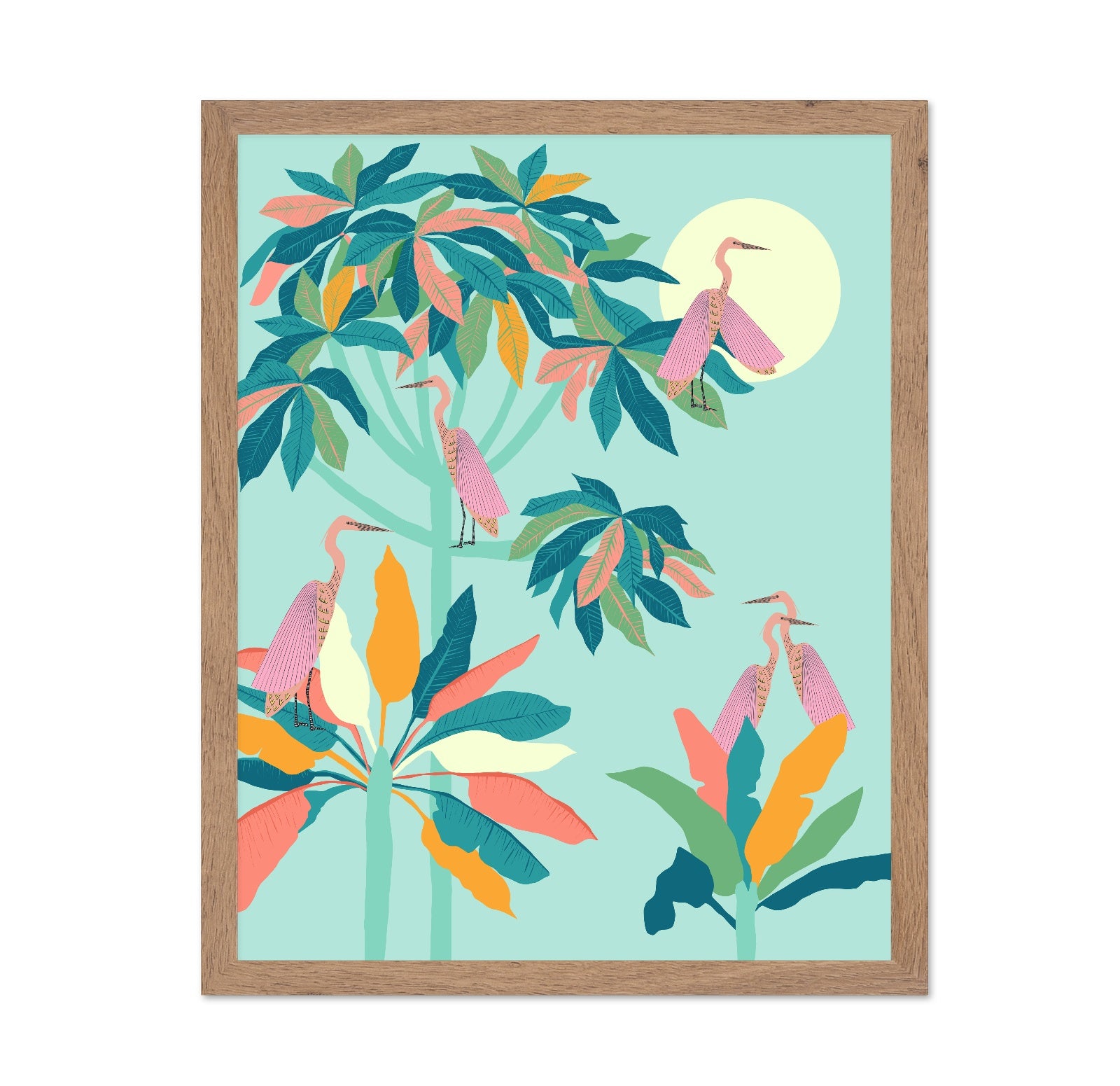 Tropical Birds Garden