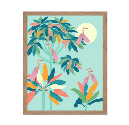 Tropical Birds Garden