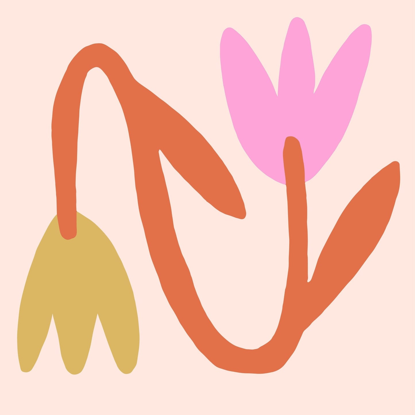 Playful Tulip Forms