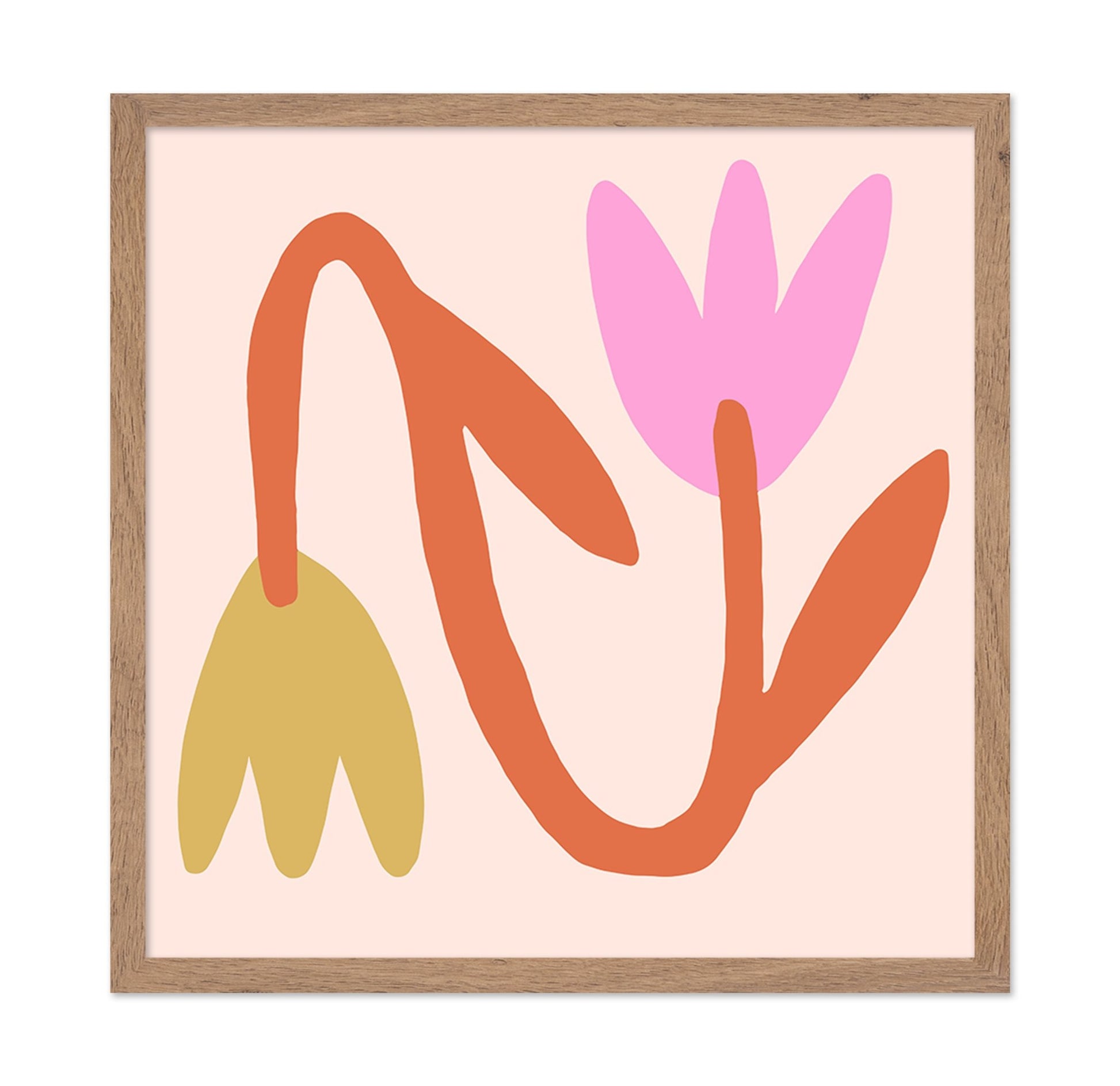Playful Tulip Forms