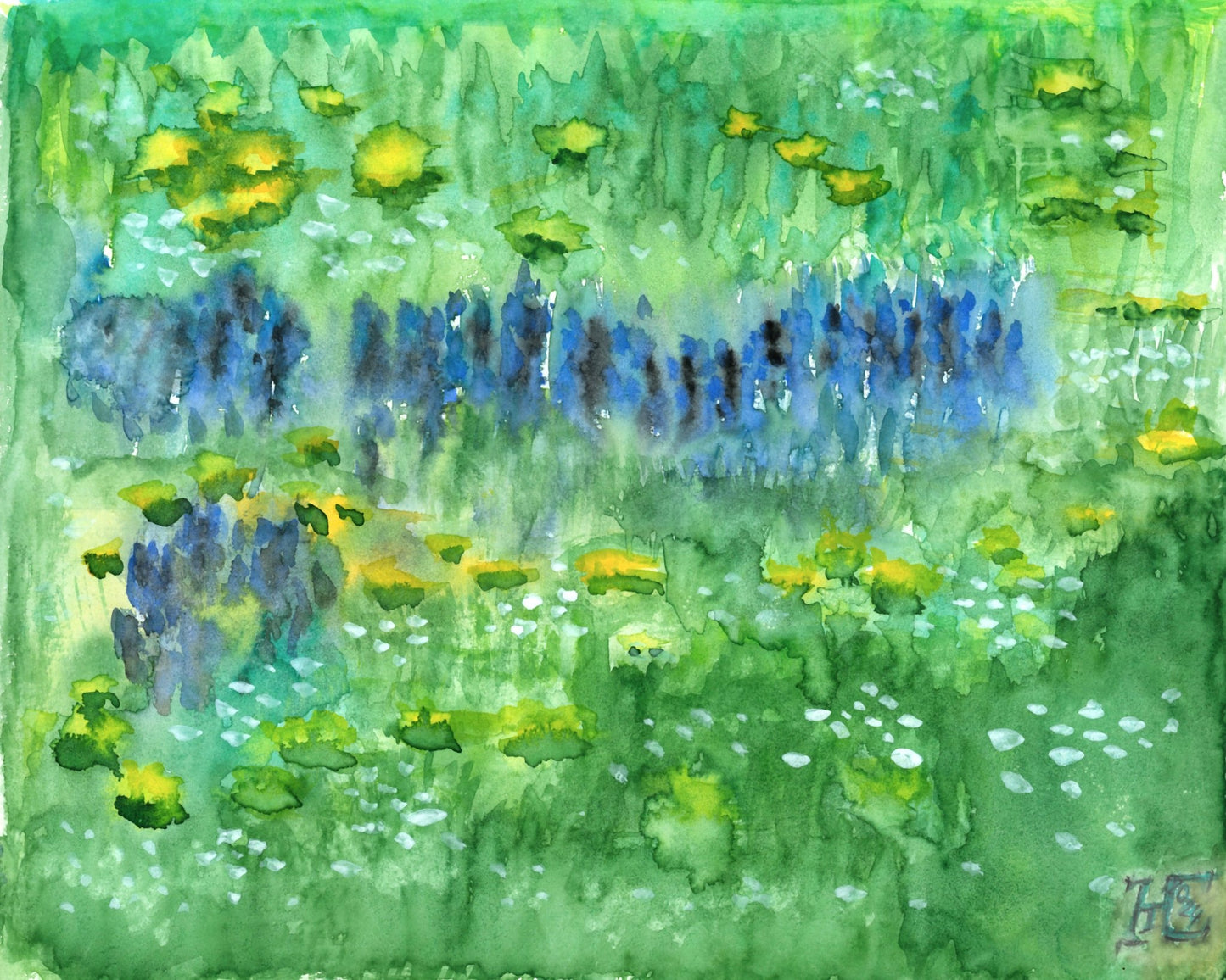 Green Meadow Reflections