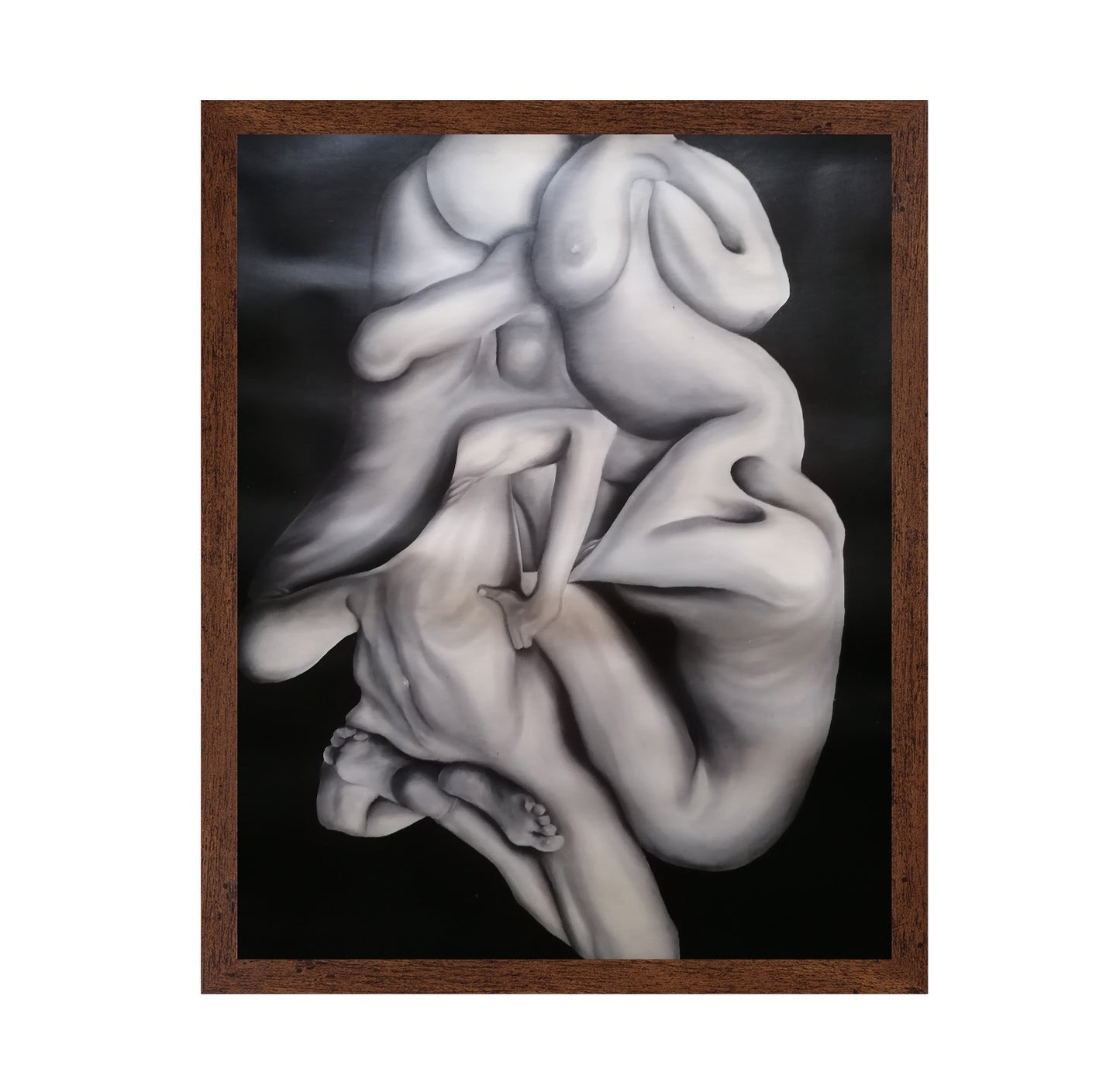 Entwined Figures