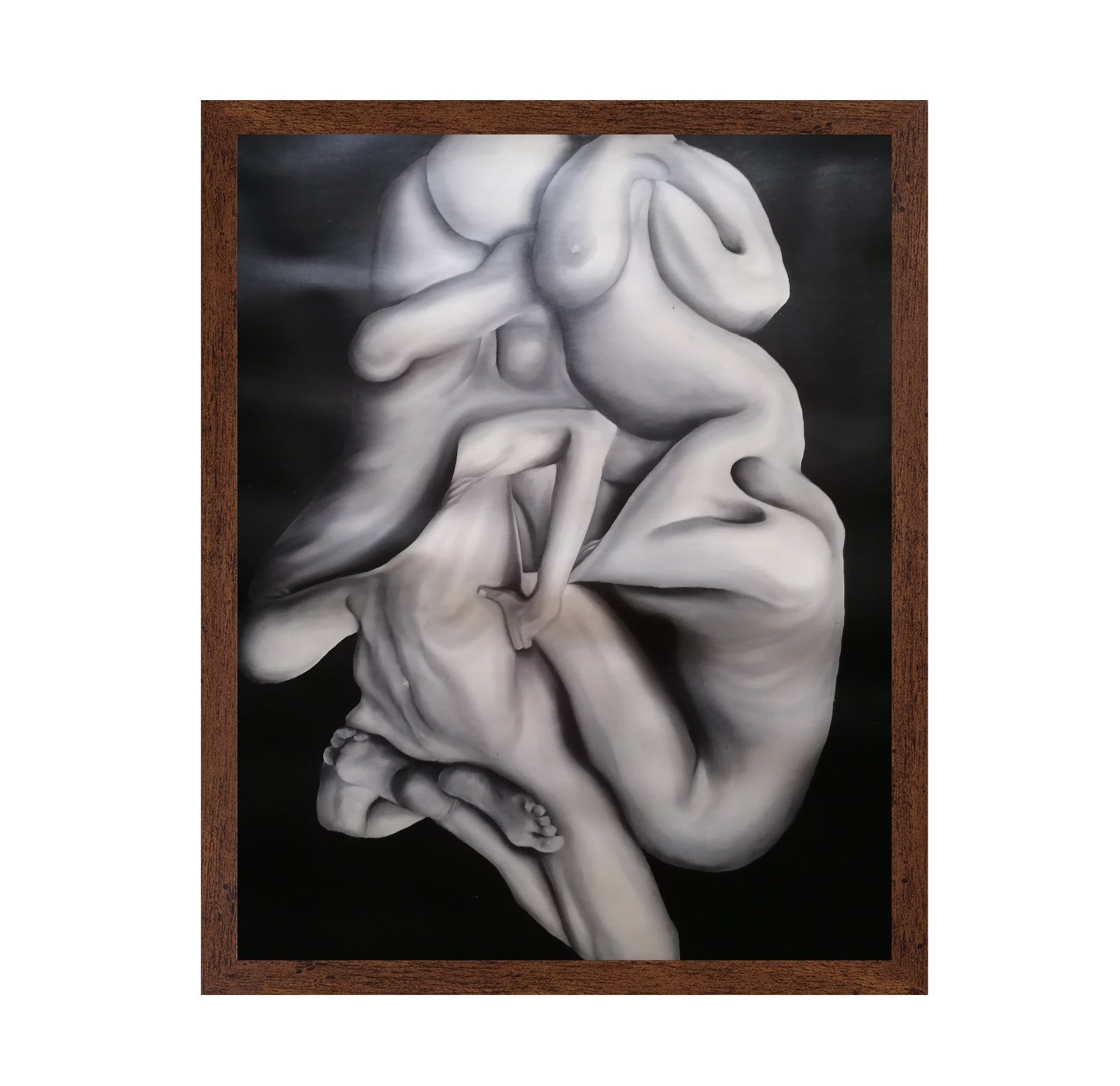 Entwined Figures