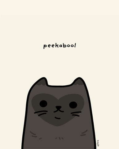 Peekaboo Cat