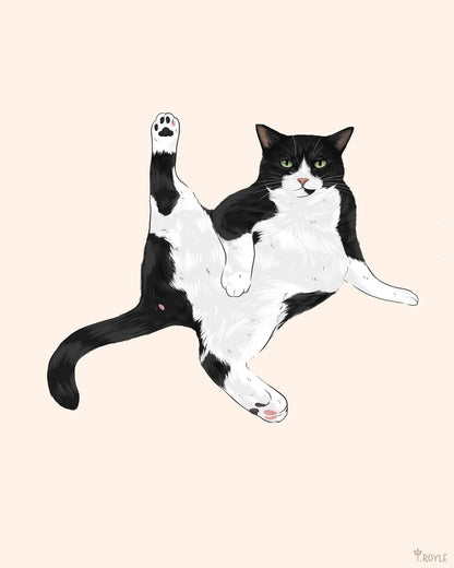Playful Stretch Cat