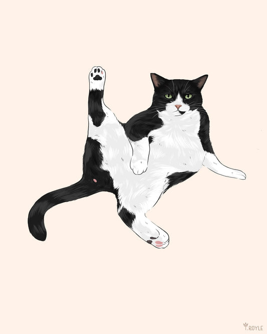 Playful Stretch Cat