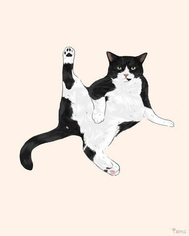 Playful Stretch Cat