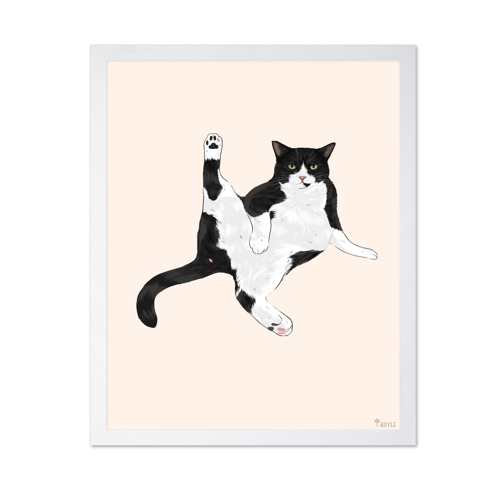 Playful Stretch Cat