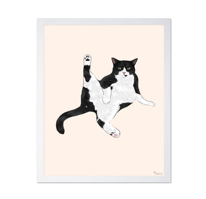 Playful Stretch Cat