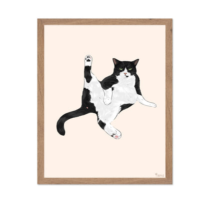 Playful Stretch Cat