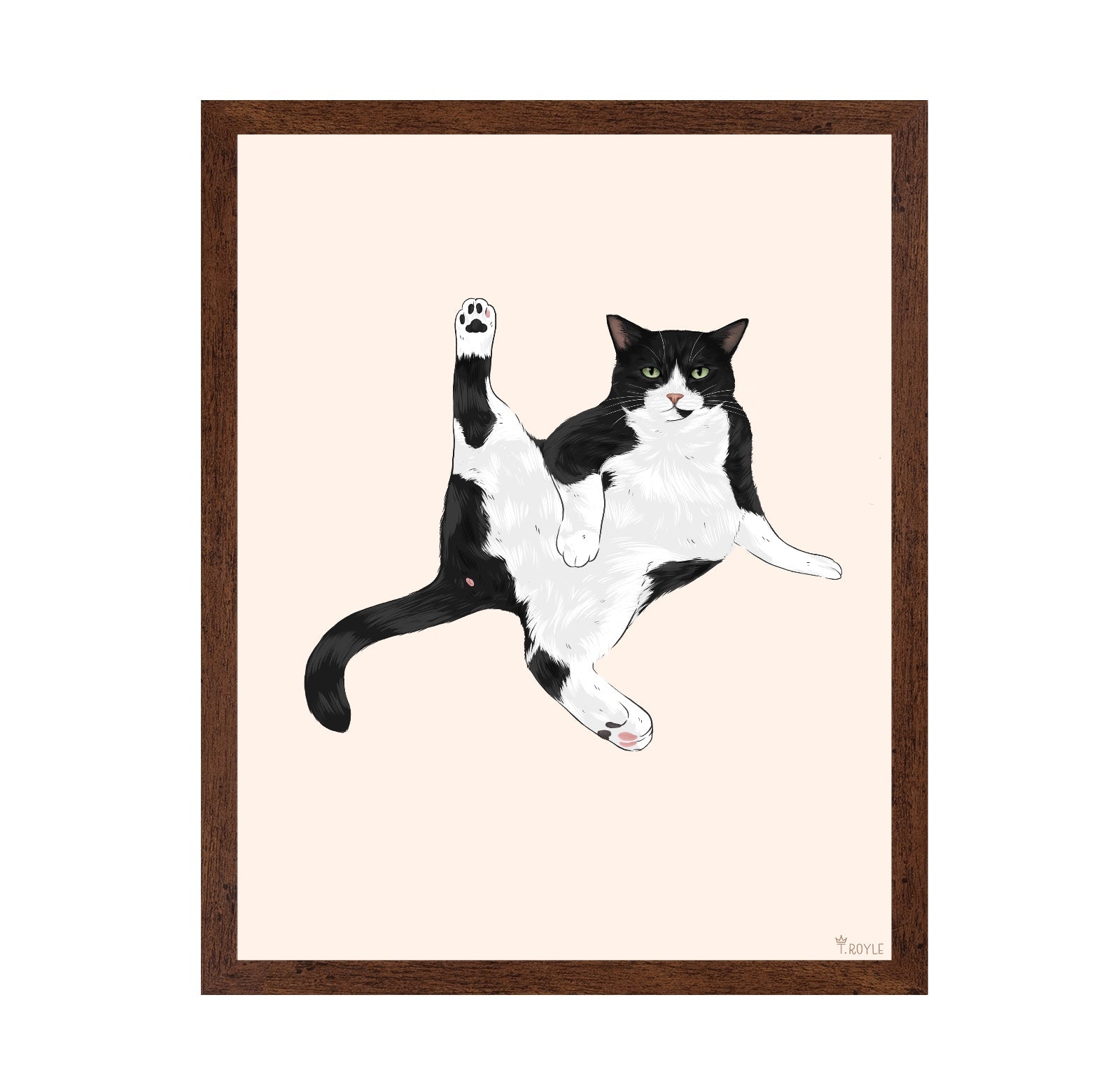 Playful Stretch Cat