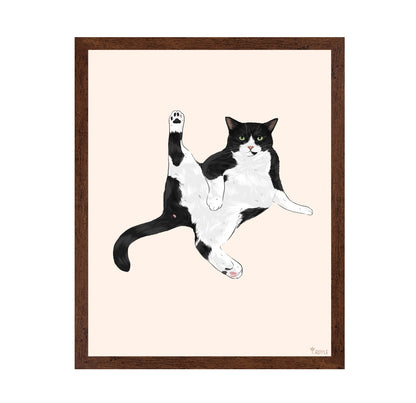 Playful Stretch Cat